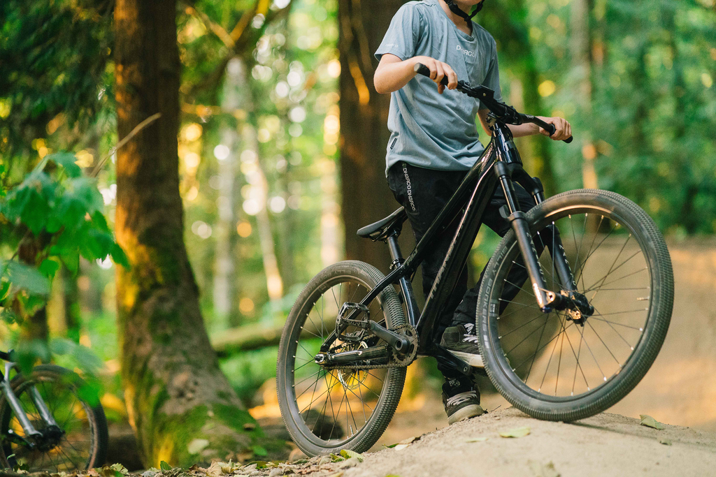 Copy of LIT08044.webp