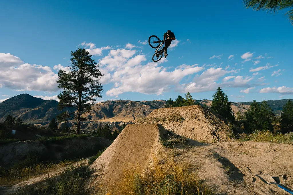 Copy of LIT00811.webp