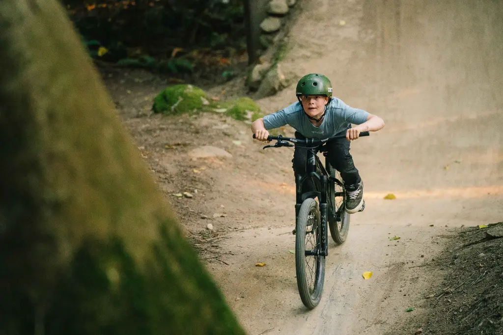 Copy of LIT08118.webp