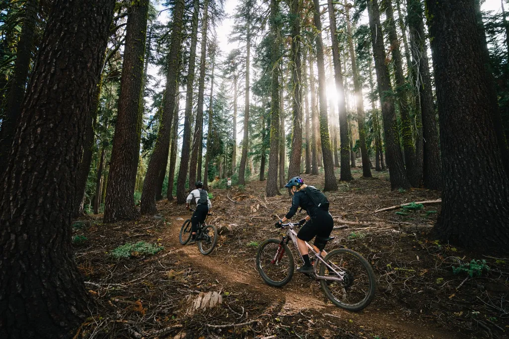 Copy of LIT08497.webp