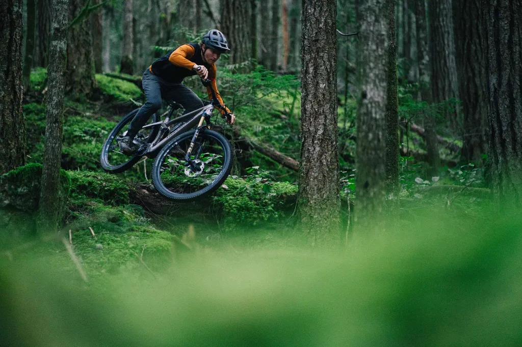 Copy of LIT08190.webp