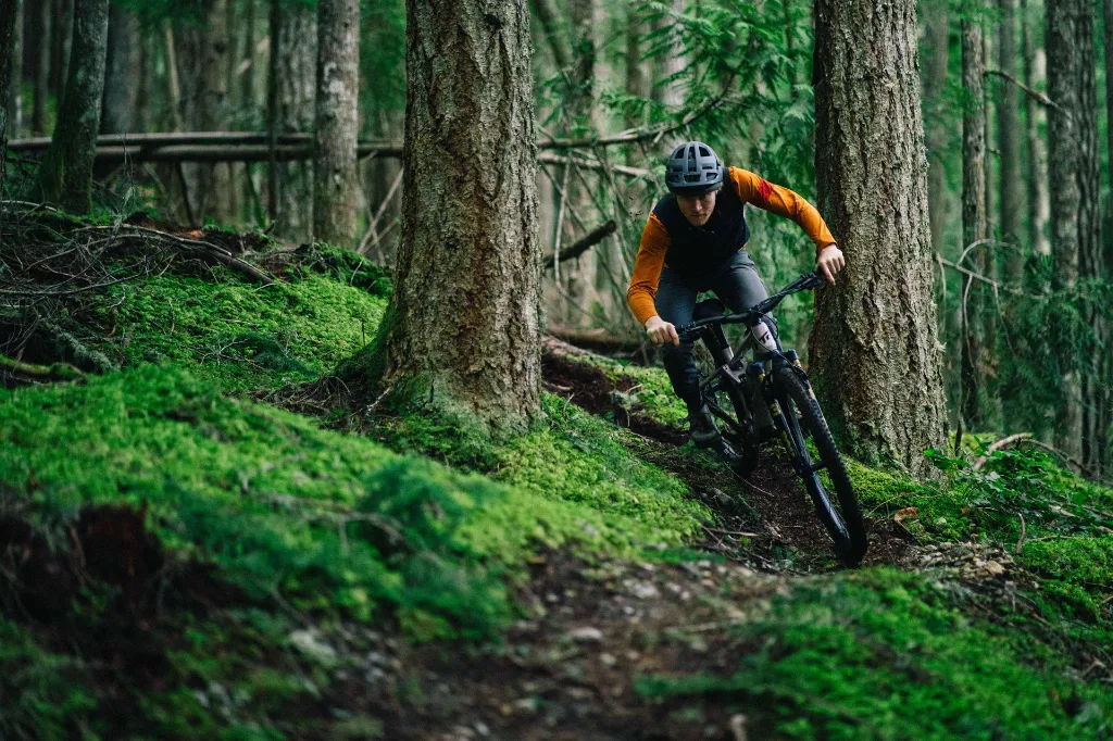 Copy of LIT07853.webp