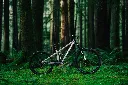 TR112026-06731.webp
