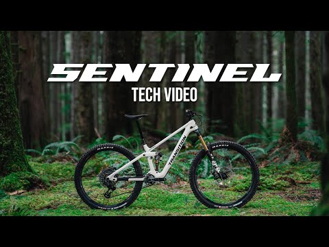 youtube - [Video]
