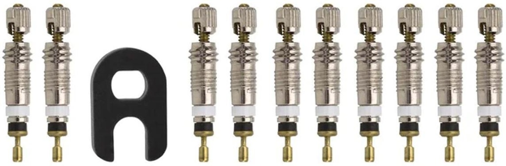 [EMCHPRMC10] Presta Valve 10 meccanismi valvola Presta+chiave