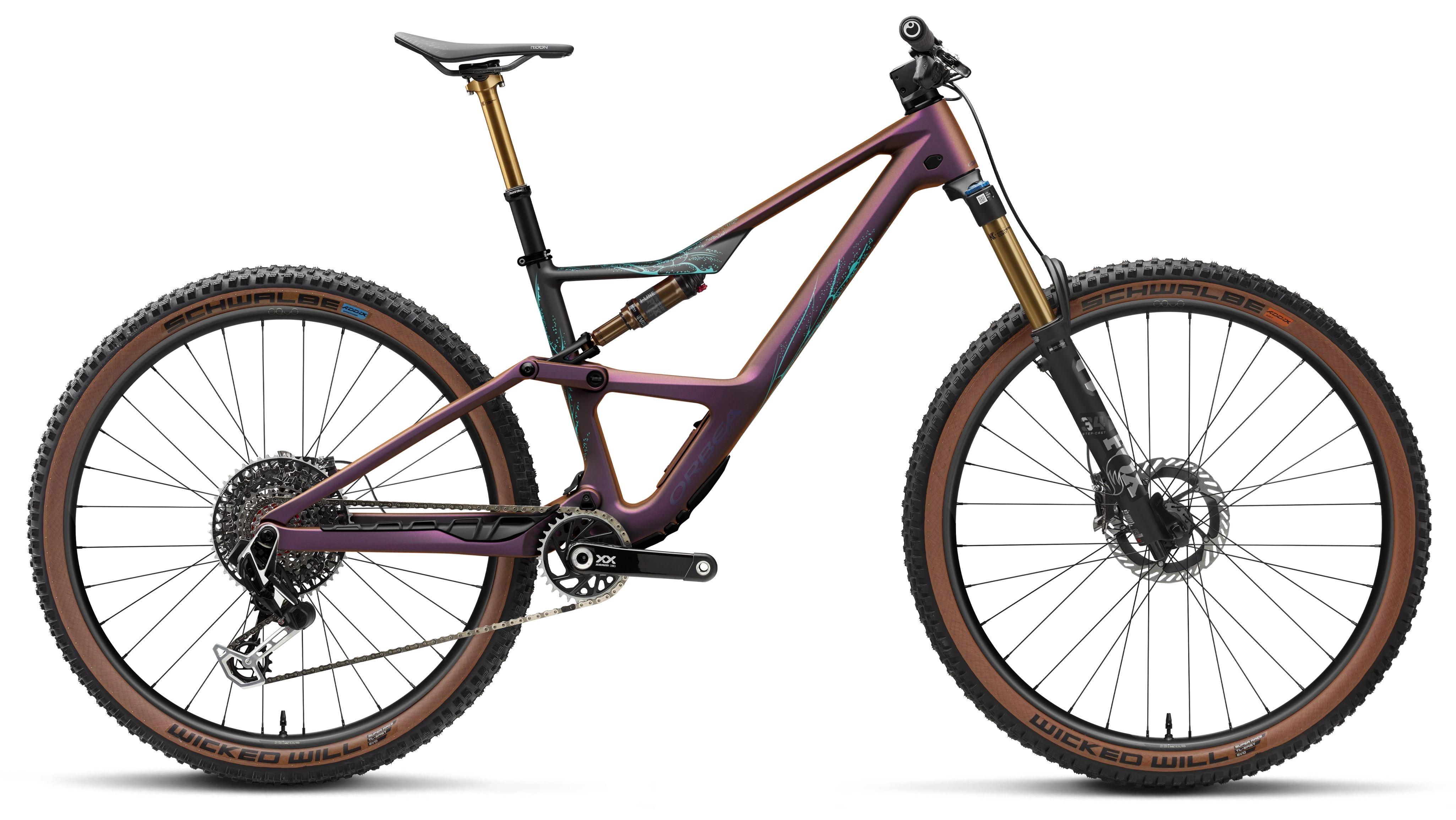 OCCAM SL M-LTD