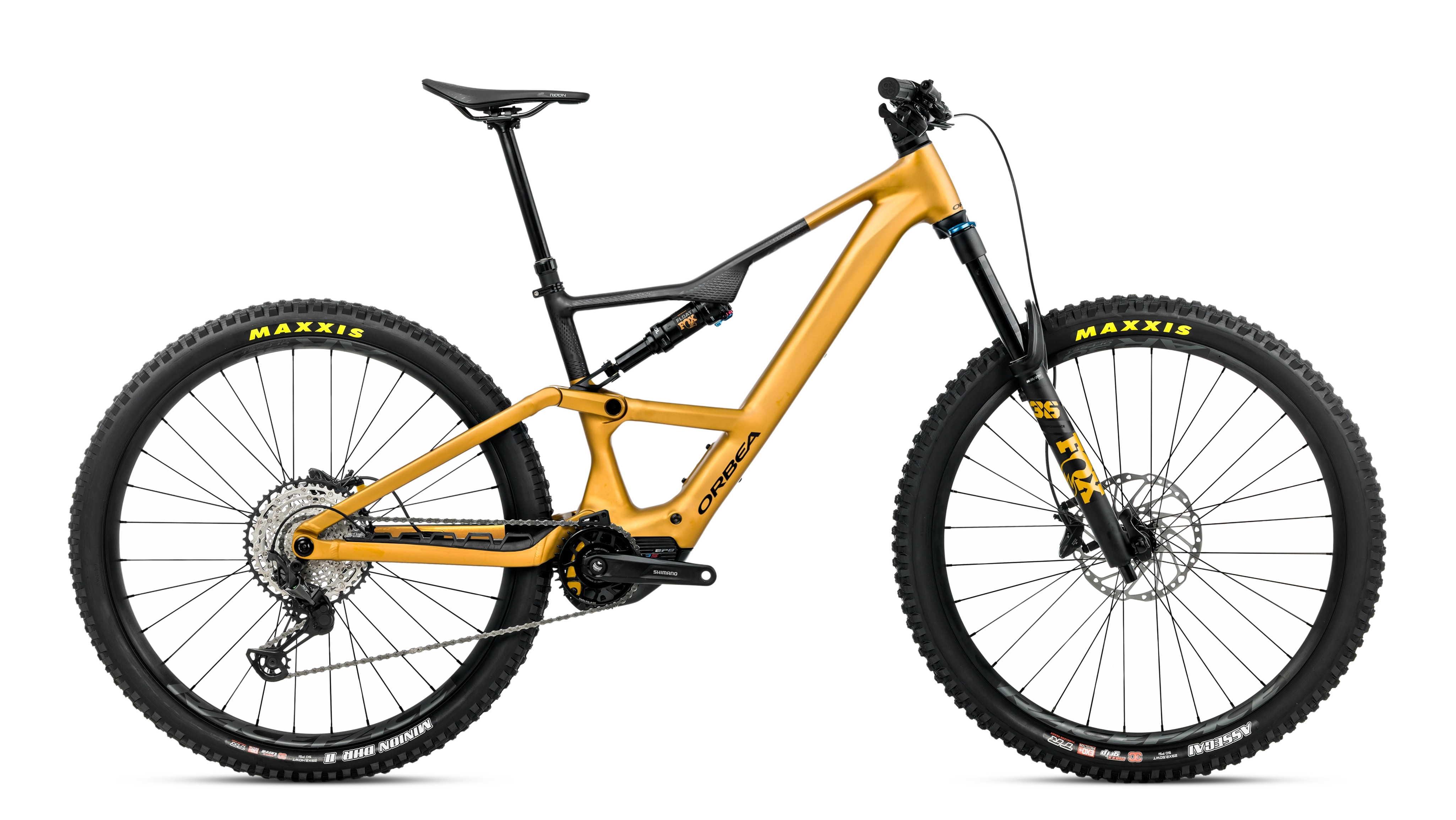 RISE LT H10
